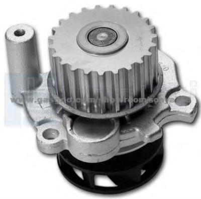Auto Water Pump For AUDI (OPA-AD101)