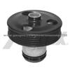 Auto Water Pump For AUDI (OPA-AD135)