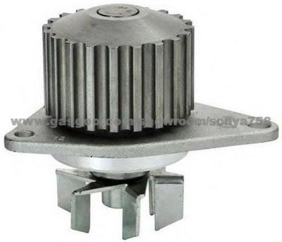 Auto Water Pump For AUSTIN (OPA-AU101)