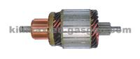 Armature 1004011072 137893 IM2120 WSA5945 F010AL1014