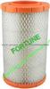 Air Filter 9L8Z-9601-A