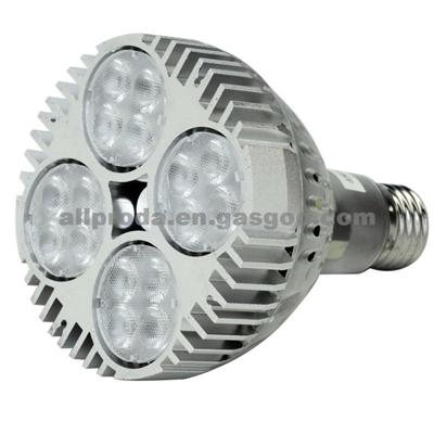 40W Par30 LED Spotlighting