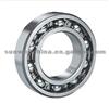 Roller Bearing Stainless Steel 6000 Series