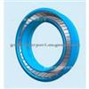 Spring Energized PTFE Seal