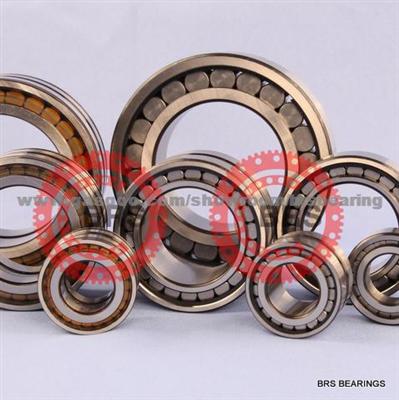 SL045012PP(NNF 5012 ADA-2LSV) Bearing