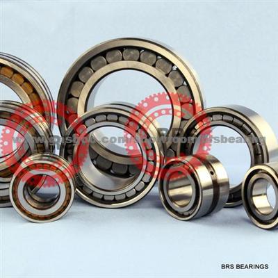 SL045020PP(NNF 5020 ADA-2LSV) Bearing