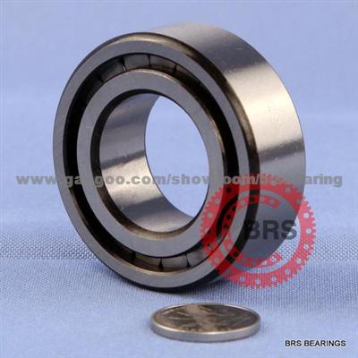 SL183004(NCF3004CV) Cylindrical Roller Bearing