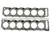 Cylinder Head Gasket 6HE1, 6HE1T For ISUZU Engine