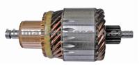 Armature 1004011082 139703 WSA5955