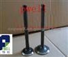 High Quality Engine Part Inlet-Exhaust Valve For Ynmar 088