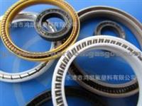 PTFE Spring Energized Seal