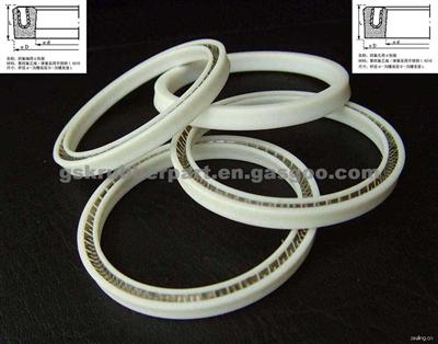 Spring Energized PTFE Seal