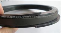 SPGW/ Hydraulic Seal