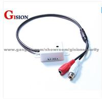 Voice Monitor For Mobile DVR