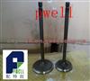Inlet Valve 2TR Or Toyota