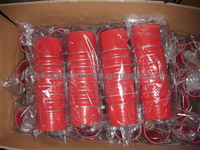 Renaut Silicone Hose 5010514310