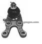 BALL JOINTS MB831037