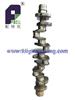 6D16TCrankshaft
