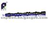 Good Price Camshaft 4 BT A3914638 For CAR