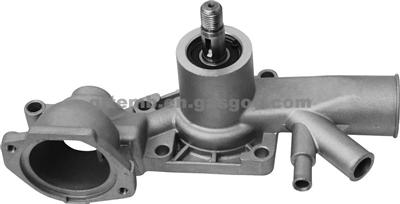 Water Pump Suit For Peugeot504 TEMB-P101