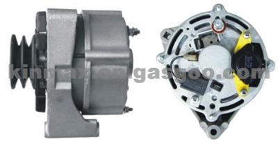 Alternator 0120489065 AAK3573 CA88IR LRA00160 1308720