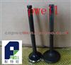 6BG1 Intake - Exhaust Valve For ISUZU