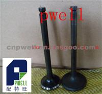 6BG1 Intake - Exhaust Valve For ISUZU