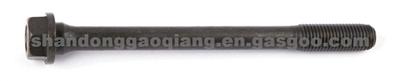 Cylinder Head Bolt 612600040452