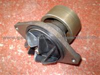 Electric Water Pump 4891252