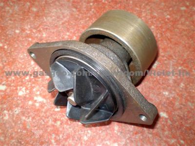 Electric Water Pump 4891252