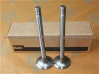 NT855 Intake Valve