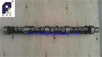 H100 Camshaft 13511-73920