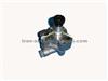 NISSAN Oil Pump 15010 - 01M00 / 01