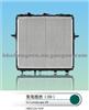 Auto Radiator For SG Landscape 09
