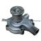 1014309C93 Water Pump For CASE Tractor
