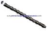 3036117 Camshaft