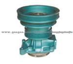 SinoTruk CNHTC Truck Spare Part Pumps VG1500060051