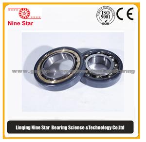 Insulated Bearing 6311MC3VL0241