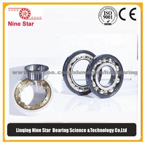 Deep Groove Ball Bearing 6016MC3VL0241