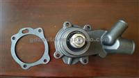 Landini 9880HC Tractor Water Pump 141313227