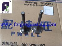 4M40T Intake - Exhaust Valve