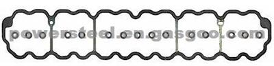 Valve Cover Gasket For Jeep 1996-2006