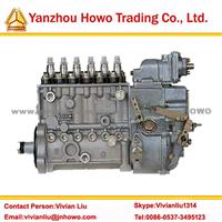 Sinotruk Howo Diesel Injector Pump VG1096080130