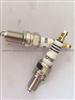 G-Power DCP7REG Spark Plug For Wuling Glory