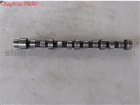 Camshaft F3000-1006001A