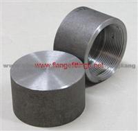 Stainless Seel BSPT Threaded Cap