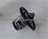 TERMOSTATO CHERY 481H1306020