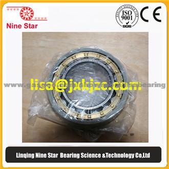 Electrically Insulated Bearing NU213ECM