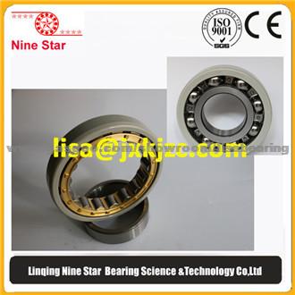 Electric Motor Bearings NU212-Ecm-C3-J20a