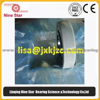 Insualted Roller Bearing NU324EM/C3Vl0241